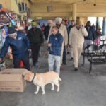 जालंधर कमिश्नरेट पुलिस ने शहर में बड़े पैमाने पर चलाया सर्च ऑपरेशन