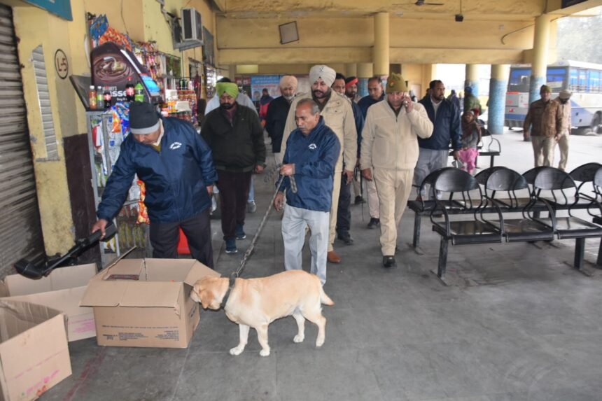 जालंधर कमिश्नरेट पुलिस ने शहर में बड़े पैमाने पर चलाया सर्च ऑपरेशन