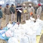 जालंधर कमिश्नरेट पुलिस ने 2.5 क्विंटल से अधिक मादक पदार्थ किये नष्ट