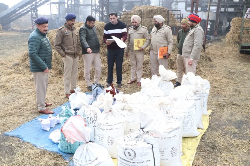 जालंधर कमिश्नरेट पुलिस ने 2.5 क्विंटल से अधिक मादक पदार्थ किये नष्ट