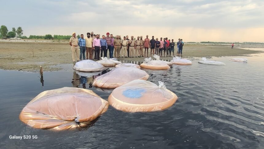 ਆਬਕਾਰੀ ਵਿਭਾਗ ਵਲੋਂ ਦਰਿਆ ਸਤਲੁਜ ਦੇ ਨੇੜੇ ਛਾਪੇਮਾਰੀ ਦੌਰਾਨ 18000 ਲੀਟਰ ਲਾਹਨ ਬਰਾਮਦ ਕਰਕੇ ਮੌਕੇ ’ਤੇ ਕੀਤੀ ਨਸ਼ਟ