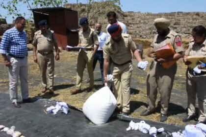 ਜਲੰਧਰ ਕਮਿਸ਼ਨਰੇਟ ਪੁਲਿਸ ਨੇ 40 ਕਿਲੋ ਤੋਂ ਵੱਧ ਨਸ਼ੀਲੇ ਪਦਾਰਥਾਂ ਨੂੰ ਕੀਤਾ ਨਸ਼ਟ