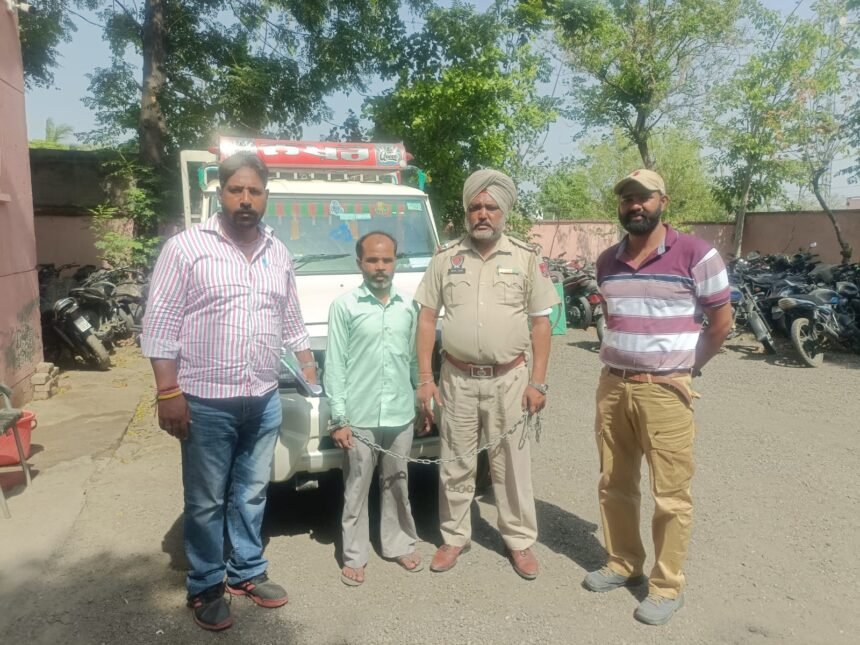 ਜੰਗਲਾਤ ਵਿਭਾਗ ਵਲੋਂ ਫਿਲੌਰ ਵਿੱਚ ਲੱਕੜ ਚੋਰ ਗਿਰੋਹ ਦਾ ਪਰਦਾਫਾਸ਼, ਚੋਰੀ ਕੀਤੀਆਂ ਲੱਕੜਾ ਵੀ ਬਰਾਮਦ