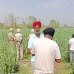 कपूरथला में मजदूर की तेजधार हथियारों से हत्या, खून से लथपथ खेतों मिला शव