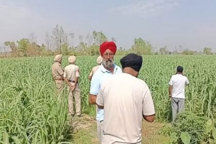 कपूरथला में मजदूर की तेजधार हथियारों से हत्या, खून से लथपथ खेतों मिला शव