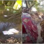 मतदान के बीच पश्चिम बंगाल में भड़की हिंसा, जयनगर में भीड़ ने वीवीपैट मशीन लूटीं, तालाब में फेंकी