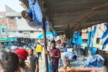 ਸਿਹਤ ਵਿਭਾਗ ਦੀਆਂ ਟੀਮਾਂ ਵੱਲੋਂ ਢੰਡਾਰੀ ਖੁਰਦ, ਤਾਜਪੁਰ ਰੋਡ ਤੇ ਸ਼ੇਰਪੁਰ ਮੱਛੀ ਮੰਡੀ ‘ਚ ਦਬਿਸ਼, ਕਰੀਬ 33 ਕੁਇੰਟਲ ਪਾਬੰਦੀਸ਼ੁਦਾ ਮੰਗੂਰ ਮੱਛੀ ਕੀਤੀ ਜ਼ਬਤ