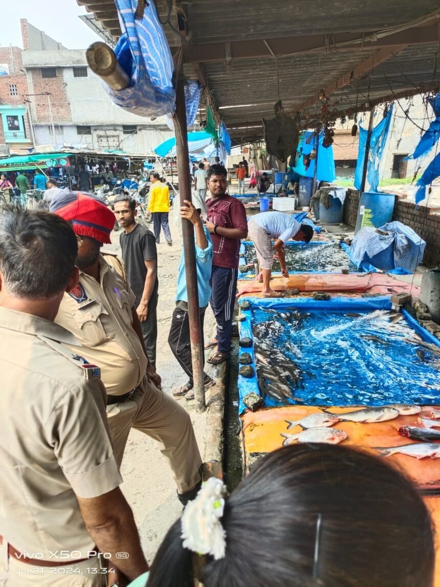 ਸਿਹਤ ਵਿਭਾਗ ਦੀਆਂ ਟੀਮਾਂ ਵੱਲੋਂ ਢੰਡਾਰੀ ਖੁਰਦ, ਤਾਜਪੁਰ ਰੋਡ ਤੇ ਸ਼ੇਰਪੁਰ ਮੱਛੀ ਮੰਡੀ ‘ਚ ਦਬਿਸ਼, ਕਰੀਬ 33 ਕੁਇੰਟਲ ਪਾਬੰਦੀਸ਼ੁਦਾ ਮੰਗੂਰ ਮੱਛੀ ਕੀਤੀ ਜ਼ਬਤ