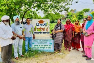 ਵਾਤਾਵਰਨ ਦੀ ਸੰਭਾਲ ਲਈ ਵਡਾਲਾ ਖੁਰਦ ‘ਚ ਲਗਾਏ ਛਾਂ ਦਾਰ ਅਤੇ ਫਲਦਾਰ ਪੌਦੇ