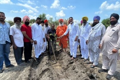 राज्यसभा सांसद संत बलबीर सिंह सीचेवाल ने कैटल पौंड कनिया कलां में लगाए 500 से अधिक पौधे