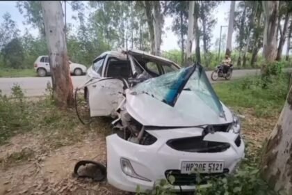 बाईक सवार को बचाते समय कार पेड़ से टकराने से कार चालक नौजवान की मौके पर हुई मौत