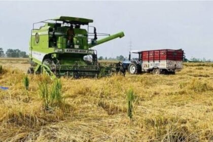 ਜ਼ਿਲ੍ਹਾ ਜਲੰਧਰ ’ਚ ਸ਼ਾਮ 6 ਵਜੇ ਤੋਂ ਸਵੇਰੇ 10 ਵਜੇ ਤੱਕ ਕੰਬਾਈਨਾਂ ਨਾਲ ਝੋਨੇ ਦੀ ਕਟਾਈ ਕਰਨ ’ਤੇ ਪਾਬੰਦੀ