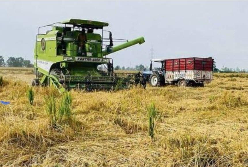 ਜ਼ਿਲ੍ਹਾ ਜਲੰਧਰ ’ਚ ਸ਼ਾਮ 6 ਵਜੇ ਤੋਂ ਸਵੇਰੇ 10 ਵਜੇ ਤੱਕ ਕੰਬਾਈਨਾਂ ਨਾਲ ਝੋਨੇ ਦੀ ਕਟਾਈ ਕਰਨ ’ਤੇ ਪਾਬੰਦੀ
