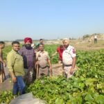 आबकारी विभाग ने सतलुज दरिया के किनारे के गांवों में चलाया सर्च अभियान, 9600 लीटर लाहन बरामद कर मौके पर ही नष्ट की