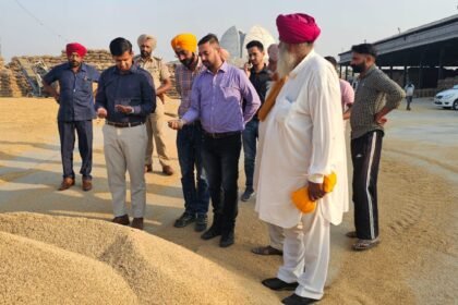डिप्टी कमिश्नर ने करतारपुर अनाज मंडी का किया दौरा,कहा जालंधर जिले में किसानों को किया 609 करोड़ रुपये का हुआ भुगतान