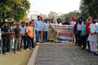 ਕਪੂਰਥਲਾ ਦਾਣਾ ਮੰਡੀ ਪਹੁੰਚੇ ਯੂਥ ਅਕਾਲੀ ਦਲ ਦੇ ਆਗੂਆਂ ਨੇ ਭਗਵੰਤ ਮਾਨ ਸਰਕਾਰ ਤੇ ਕੀਤੇ ਤਿੱਖੇ ਸ਼ਬਦੀ ਹਮਲੇ