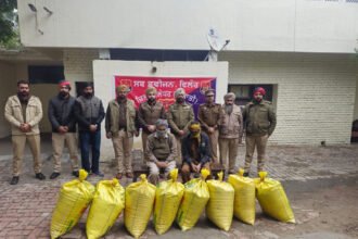 जालंधर ग्रामीण पुलिस ने प्याज और लहसुन की बोरियों के नीचे छिपाकर रखी गई 01 क्विंटल 44 किलो चूरा-पोस्त के साथ दो तस्करो को किया गिरफ्तार