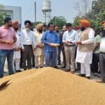हलका विधायक व डिप्टी कमिश्नर ने करतारपुर की नई अनाज मंडी में गेहूं की खरीद शुरू कराई, किसानों से की बातचीत