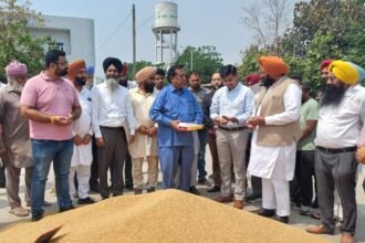 हलका विधायक व डिप्टी कमिश्नर ने करतारपुर की नई अनाज मंडी में गेहूं की खरीद शुरू कराई, किसानों से की बातचीत