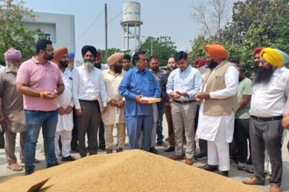 हलका विधायक व डिप्टी कमिश्नर ने करतारपुर की नई अनाज मंडी में गेहूं की खरीद शुरू कराई, किसानों से की बातचीत