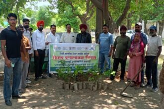 ਦਰਖਤ ਲਗਾਓ ਵਾਤਾਵਰਨ ਬਚਾਓ’ ਨਗਰ ਨਿਗਮ ਕਪੂਰਥਲਾ ਵਲੋਂ ਸਪੈਸ਼ਲ ਪਲਾਂਟੇਸ਼ਨ ਡਰਾਈਵ ਕੀਤੀ ਗਈ ਸ਼ੁਰੂ