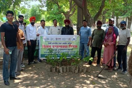 ਦਰਖਤ ਲਗਾਓ ਵਾਤਾਵਰਨ ਬਚਾਓ’ ਨਗਰ ਨਿਗਮ ਕਪੂਰਥਲਾ ਵਲੋਂ ਸਪੈਸ਼ਲ ਪਲਾਂਟੇਸ਼ਨ ਡਰਾਈਵ ਕੀਤੀ ਗਈ ਸ਼ੁਰੂ