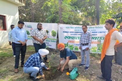 स्वच्छता पखवाड़ा के अंतर्गत पावर ग्रिड कॉर्पोरेशन ऑफ़ इंडिया  द्वारा सी.एच.सी. में वृक्षारोपण किया गया
