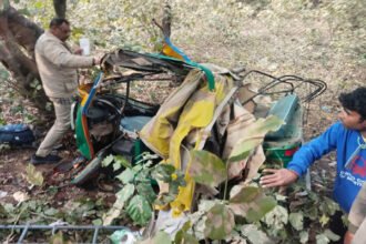 दर्दनाक सड़क हादसा : बेकाबू ट्रक ने श्रद्धालुओं से भरे दो ऑटो कुचले, 5 की मौत