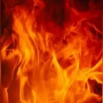 दर्दनाक हादसा : दिल्ली में डीएमआरसी के क्वार्टर में लगी आग, जिंदा जल गए पति-पत्नी और 10 साल की बेटी