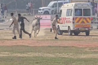 CM नीतीश के हेलीकॉप्टर लैंडिंग से ठीक पहले हेलीपैड पर घुसी गाय, जान बचाकर भागे पुलिसकर्मी