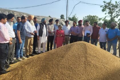 पंजाब सरकार गेहूं का एक-एक दाना खरीदने के लिए वचनबद्ध– विधायक बलकार सिंह