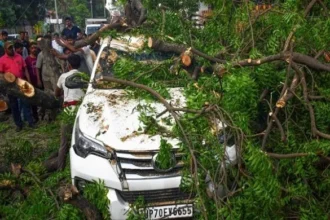 UP में आंधी-तूफान का कहर, 54 लोगों की हुई मौत; अकेले प्रयागराज में 16 की गई जान